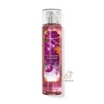 بادی اسپلش بث اند بادی مدلWinterberry Wonder